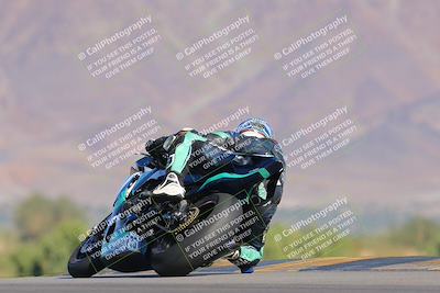 media/Nov-12-2023-SoCal Trackdays (Sun) [[5d1fba4e7d]]/Turn 9 Backside (1015am)/